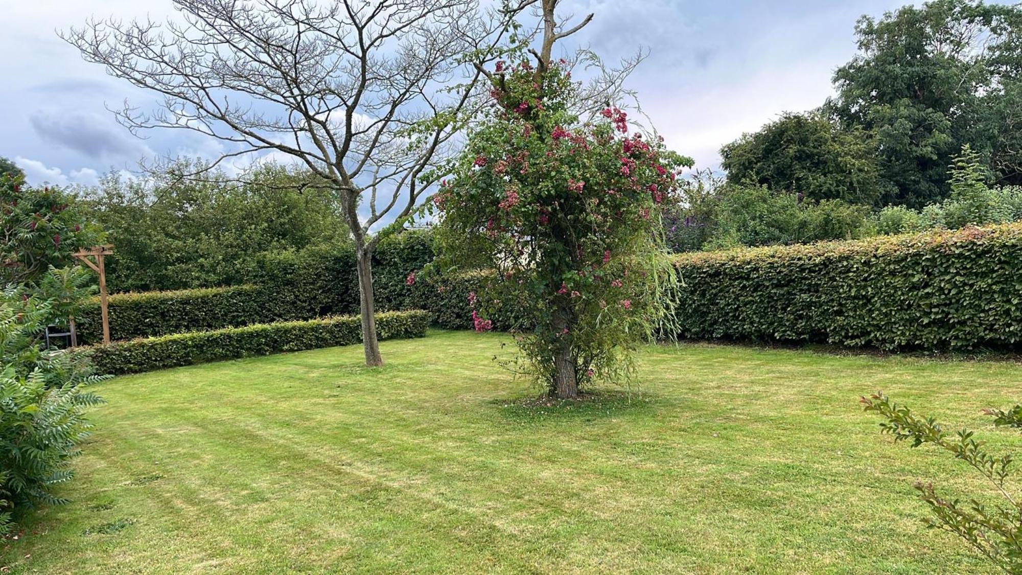 Les Bleuets Vila Mandeville-en-Bessin Exterior foto